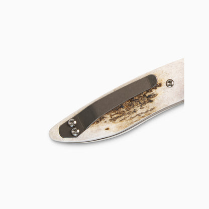 Glory Folder Semi-Custom #288 Elk Antler - Sharktooth Damascus - Aegir Damasteel