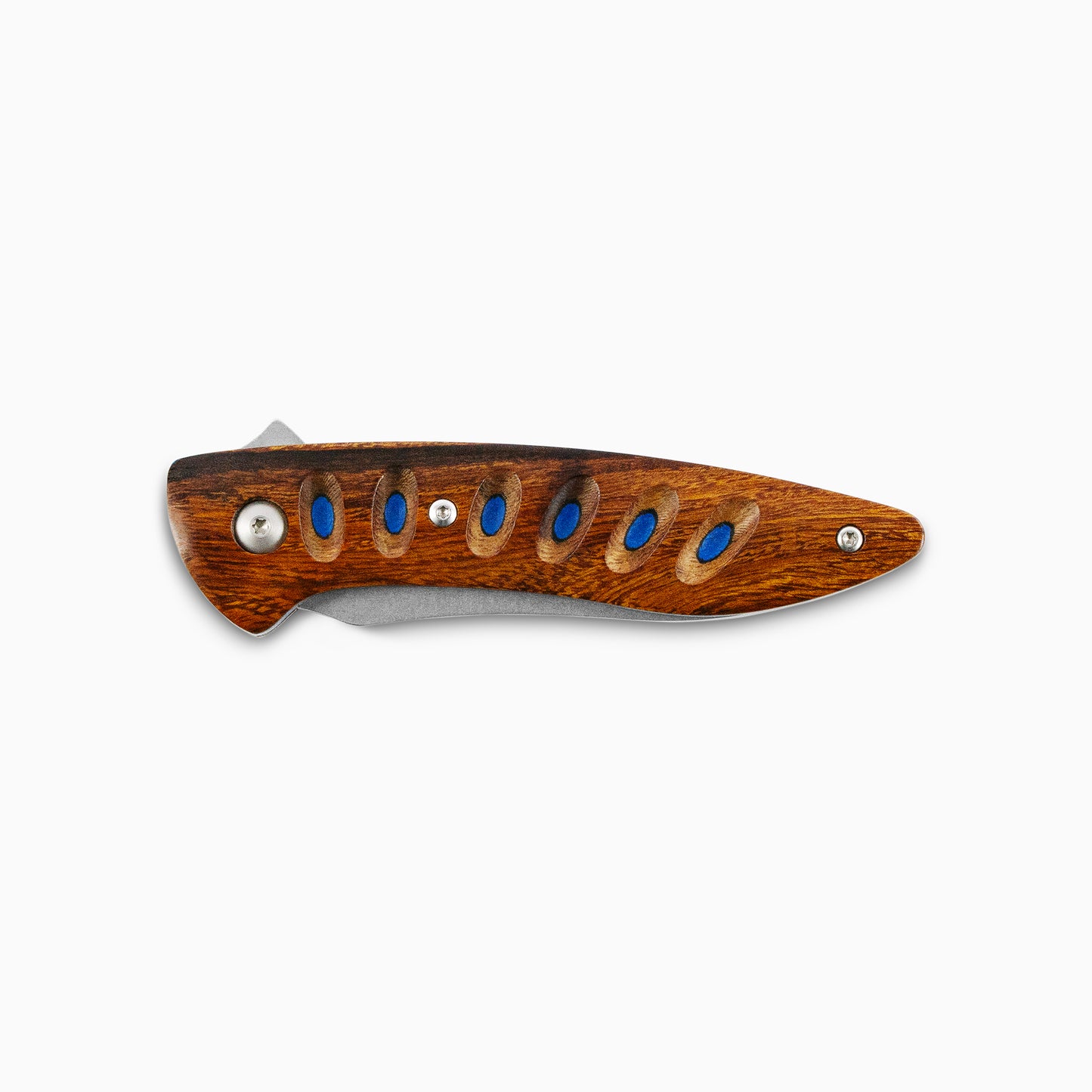 Saddleback MagnaCut Glory Folder - Ironwood & Blue Liner