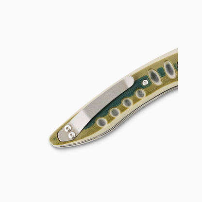 Saddleback Glory Folder - Lichen
