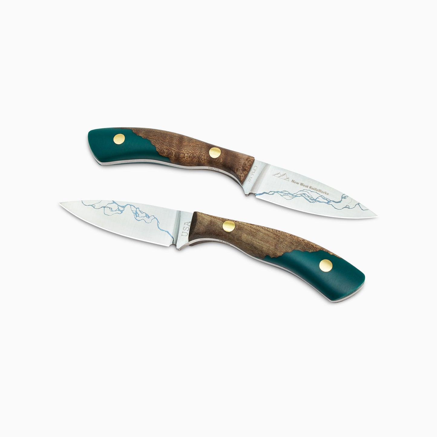 Snake River Bird and Trout