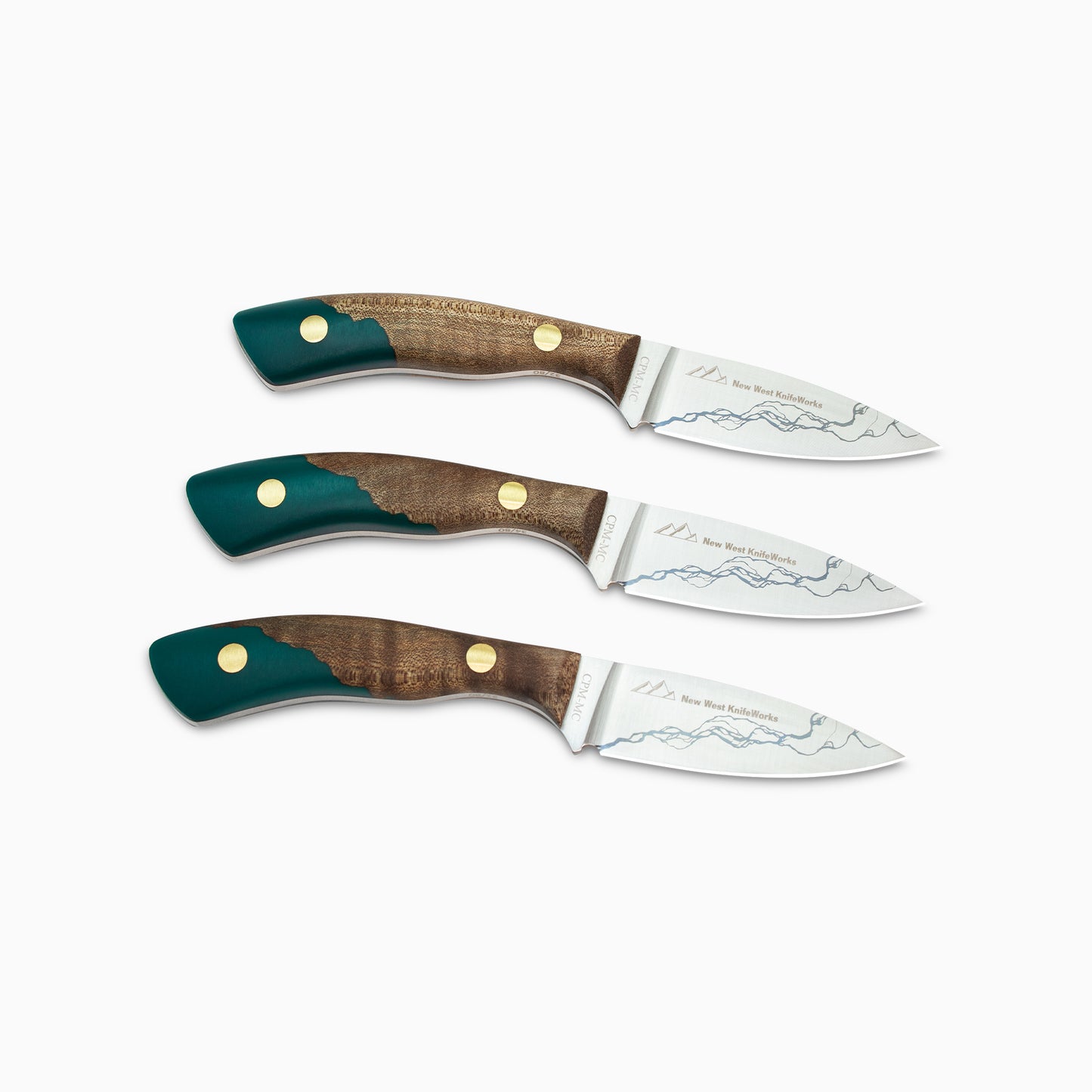 Snake River Bird and Trout