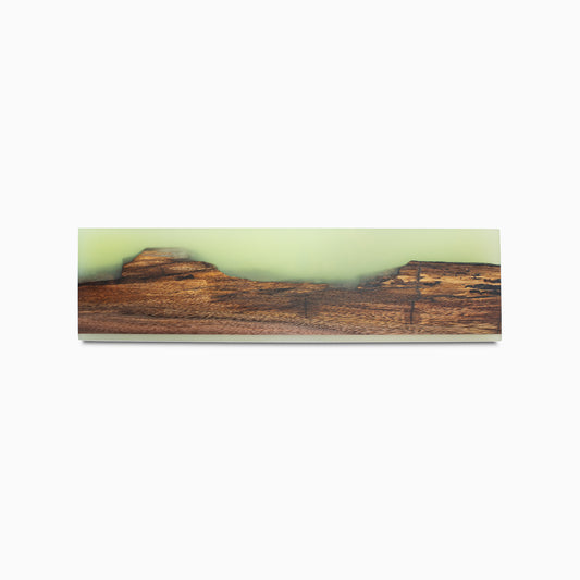 Wapiti 14"