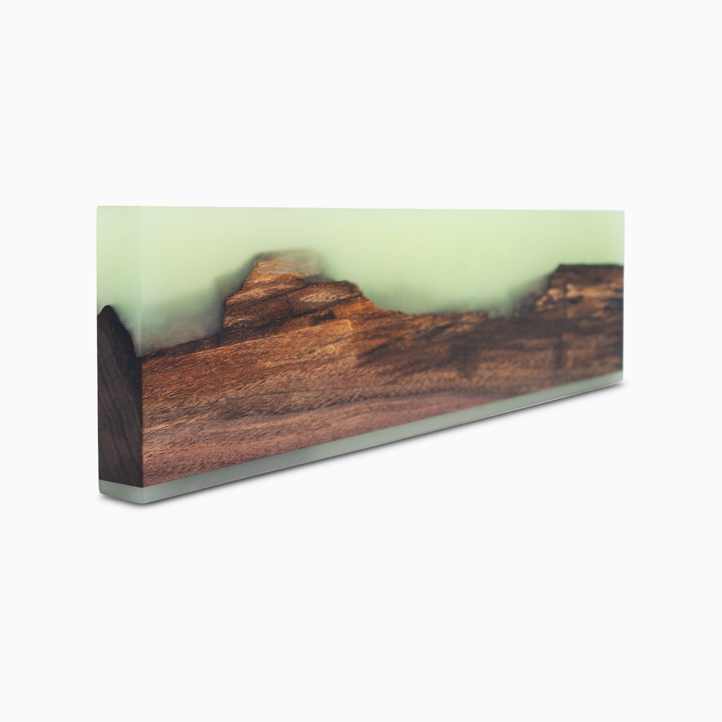 Wapiti 14"